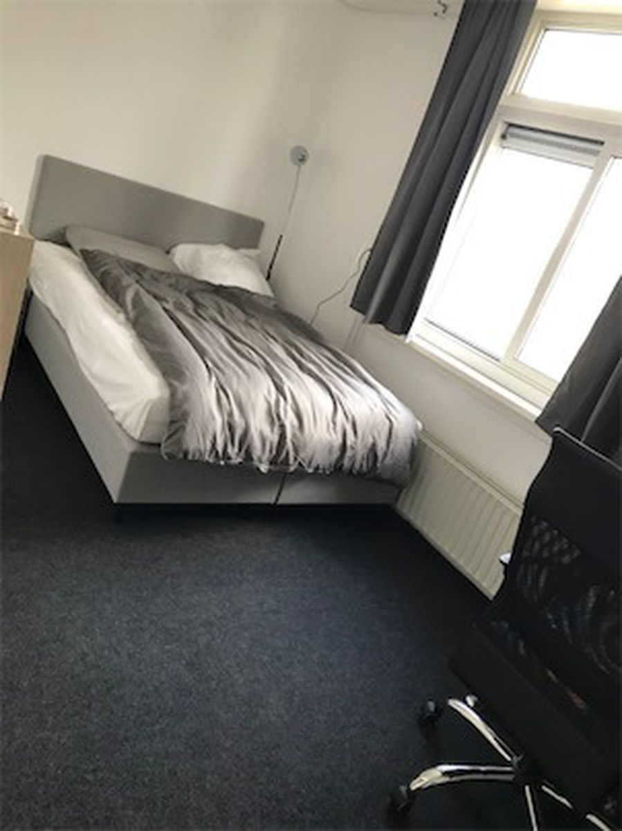 Pictures of the room